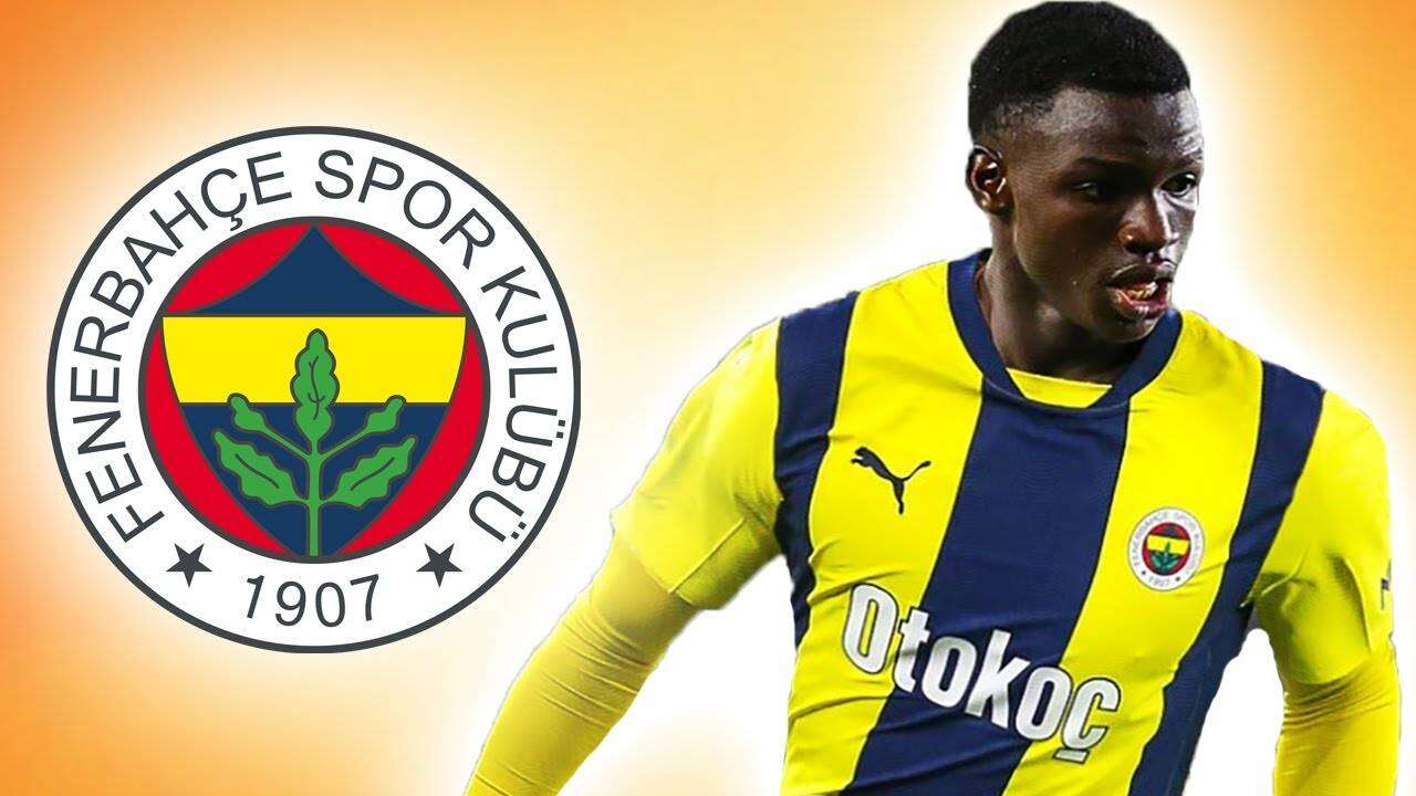 Fenerbahçe'ye TFF'den soğuk duş: Ali Koç transfer etmişti, Aziz Yıldırım döneminde kadro dışı kaldı! 2